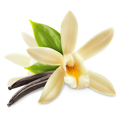 vanilla